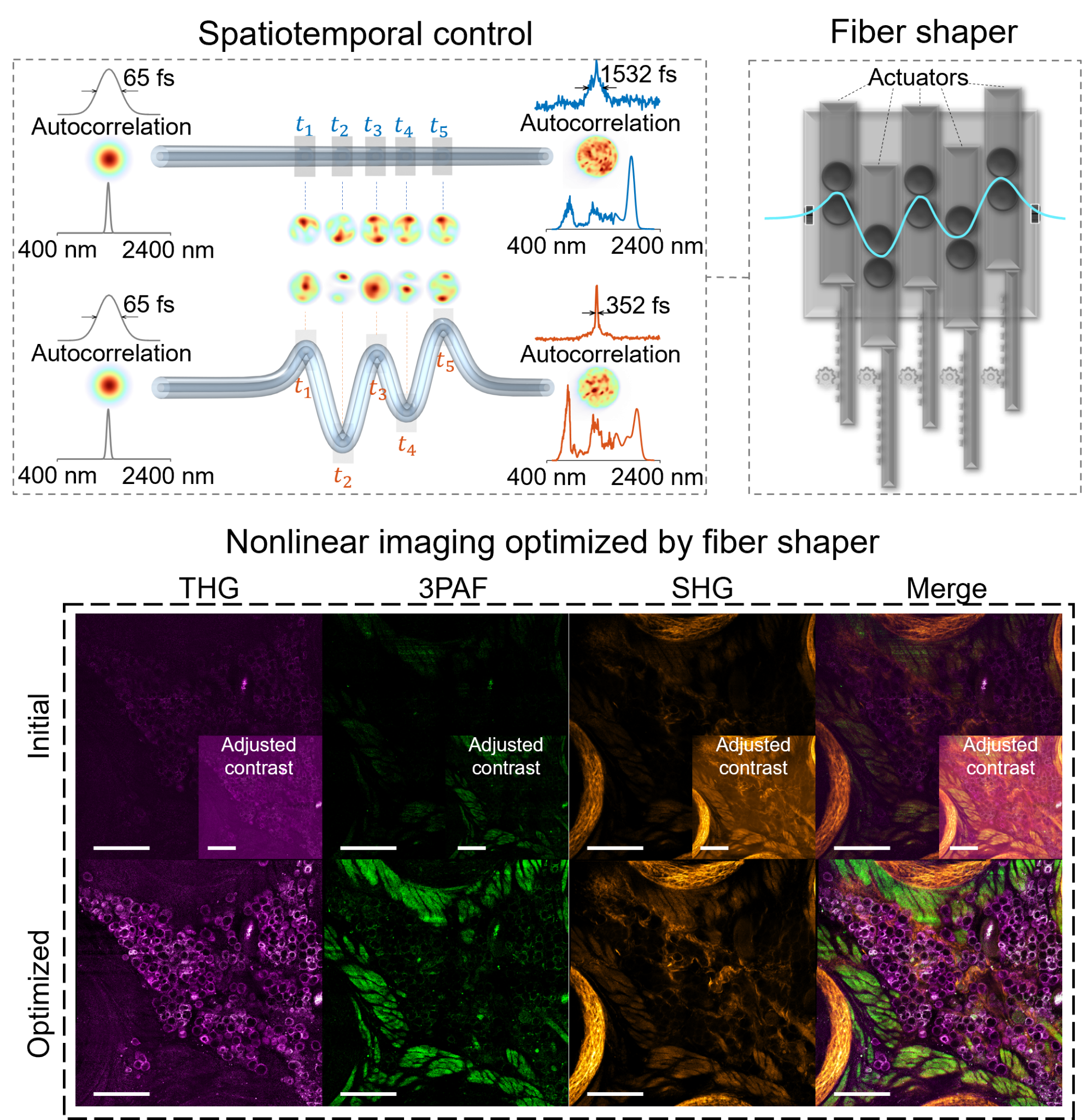 Computational Biophotonics Lab - Research